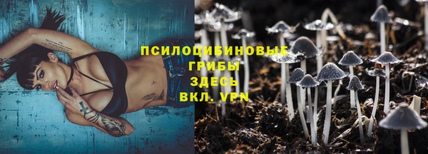 PSILOCYBIN Богданович